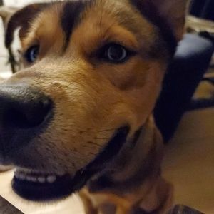 Meet your Posher, Layla